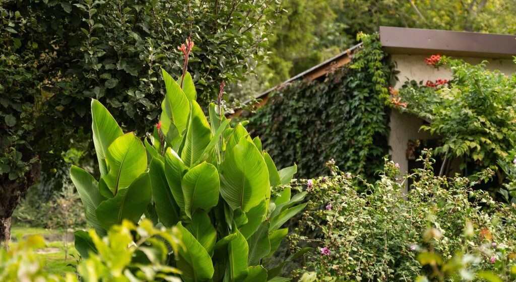 DSC0957-scaled-quyb0viczu29smttpe8jxuk0r4qdoqval456uop9sw