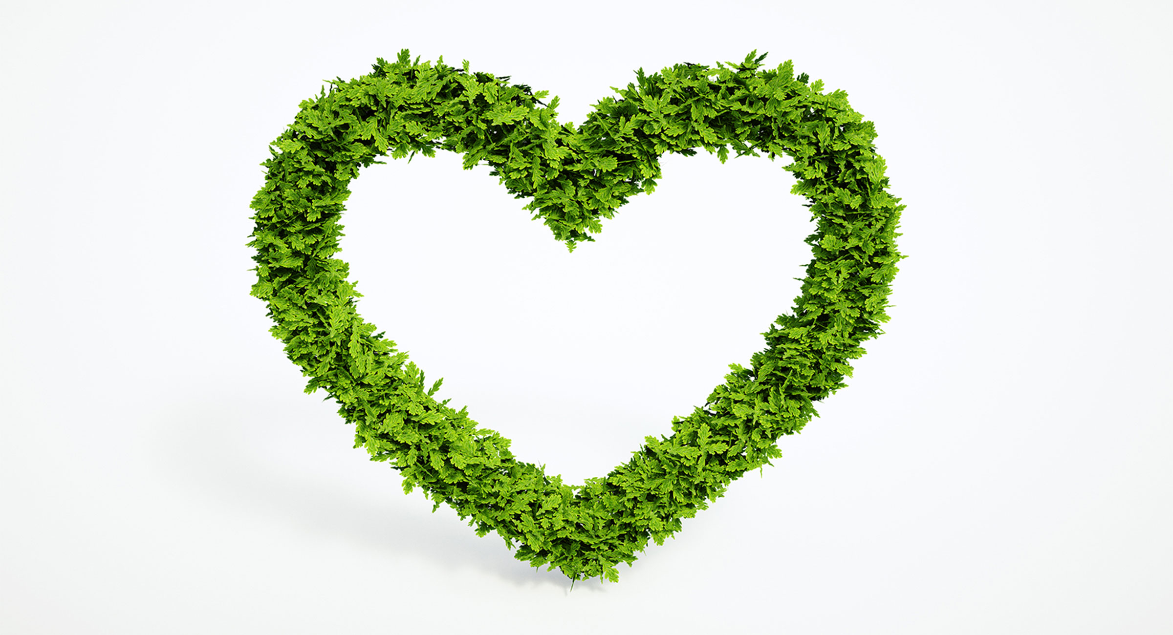 Zöld növényekből készült szív